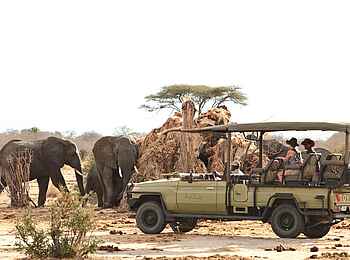 Jabali Ridge Camp: Pirschfahrt