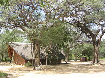 Khama Rhino Sanctuary: Gästechalet unter Mongongo-Bäumen Khama Rhino Sanctuary: Gästechalet unter Mongongo-Bäumen