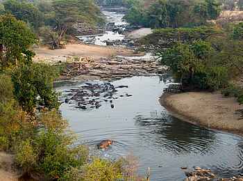 Kirawira Serena Camp: Nilpferd