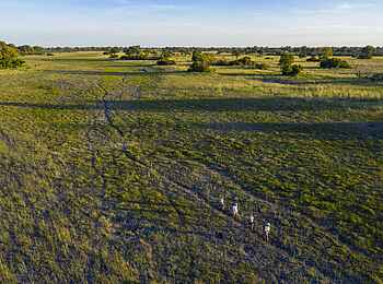 Kweene River Camp: Umgebung der Walking Safari
