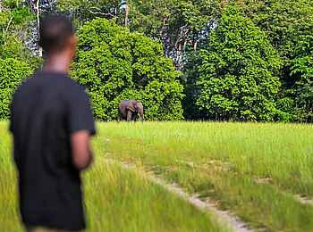 Loango Savannah Camp: Begegnung