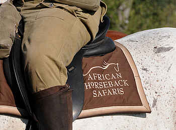 Macatoo Camp: Satteldecke