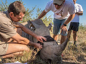 Madikwe Safari Lodge Dithaba: Beitrag zum Schutz der Nashorner