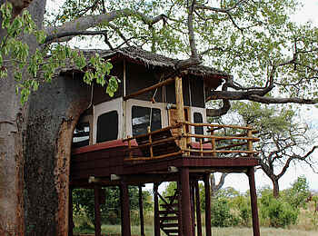 Tarangire Treetops: Wahrgewordener Kindertraum
