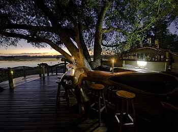 Tubu Tree: Baum-Bar Tubu Tree: Baum-Bar