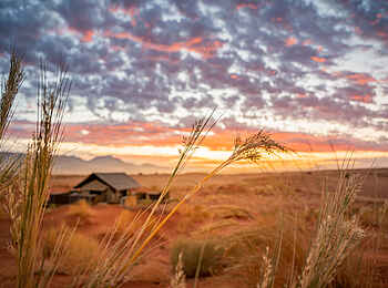 Wolwedans Dune Camp: Lage Wolwedans Dune Camp: Lage