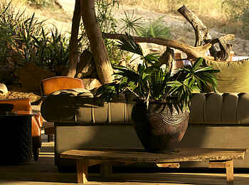 Sarara Tree: Sitzmöbel Sarara Tree: Sitzmöbel