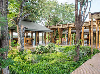 Simbavati Hilltop Lodge: Die Bar von Außen