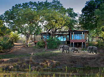 andBeyond Tengile River Lodge: Elefanten neben der Lodge