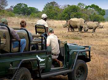 andBeyond Phinda Vlei Lodge: Nashörner auf Pirschfahrt beobachten