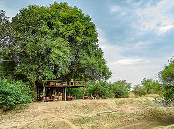 Chikoko Tree Camp: Aussichtsterrasse Chikoko Tree Camp: Aussichtsterrasse