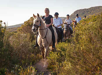 Grootbos Private Villas: Mit dem Pferd unterwegs Grootbos Private Villas: Mit dem Pferd unterwegs