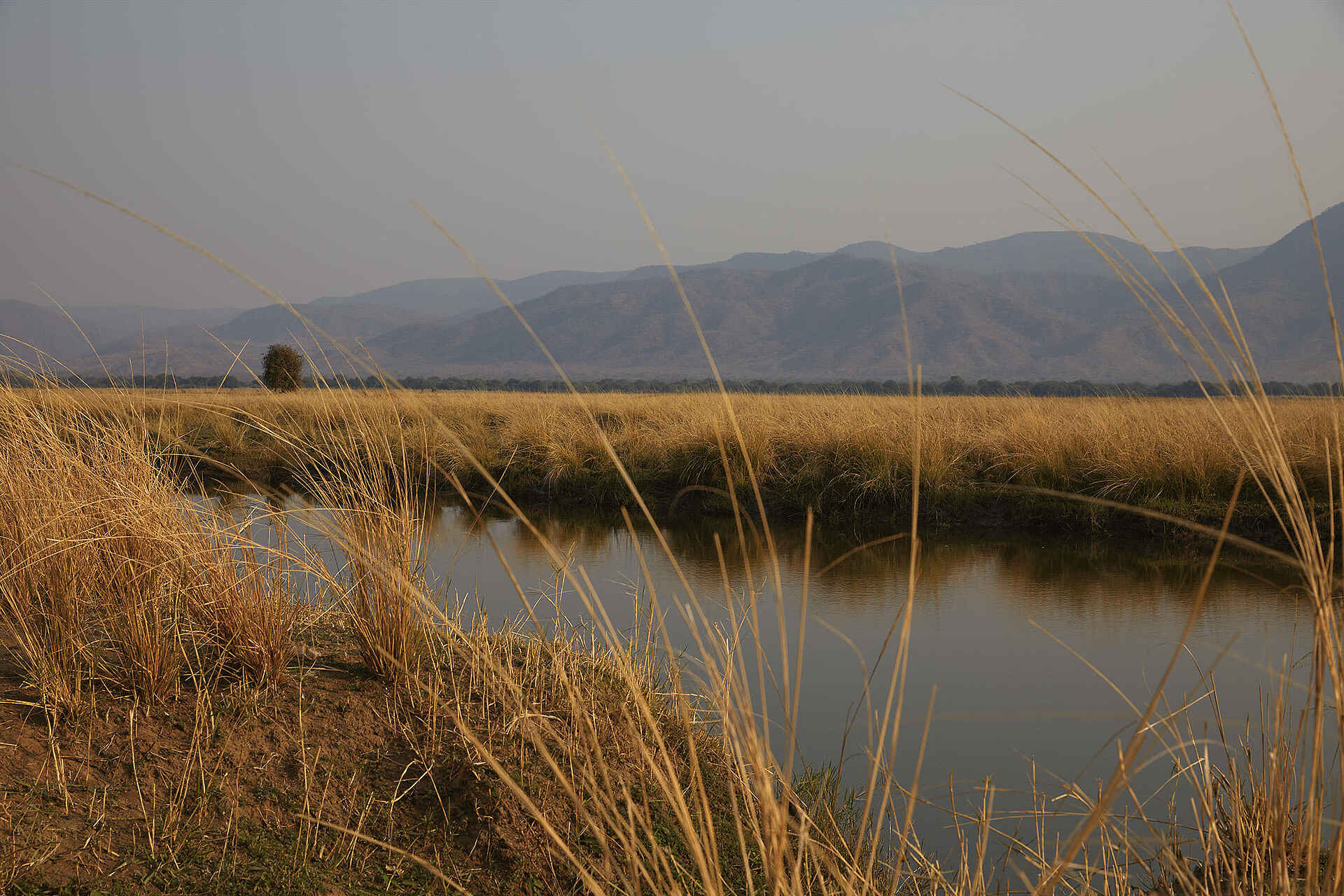 Molori Mashuma Luxury Tented Camp: Zambezi River