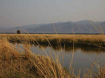 Molori Mashuma Luxury Tented Camp: Zambezi River