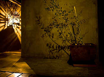 Olive Grove Guesthouse: Nächtliche Beleuchtung