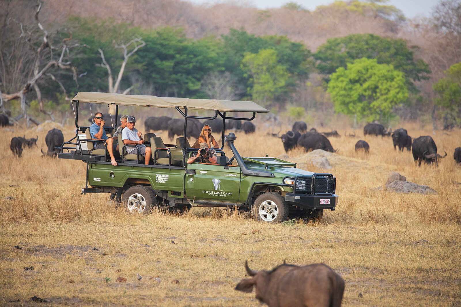 Sable Valley Lodge: Game Drive Sable Valley Lodge: Game Drive