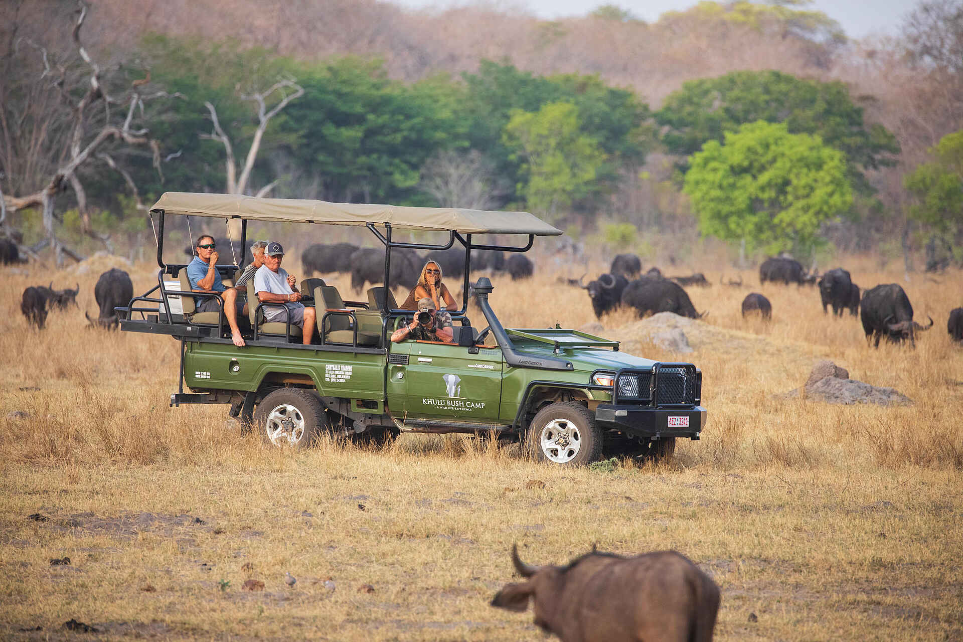 Sable Valley Lodge: Game Drive