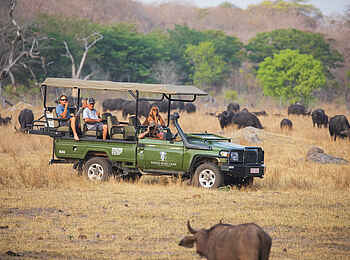 Sable Valley Lodge: Game Drive Sable Valley Lodge: Game Drive