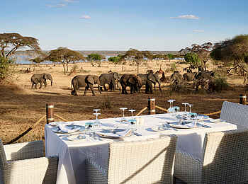 Sanctuary Swala: Dinner mit Elefanten