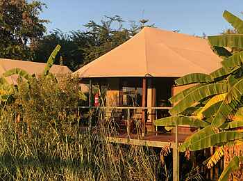 Shametu River Lodge: Bungalow