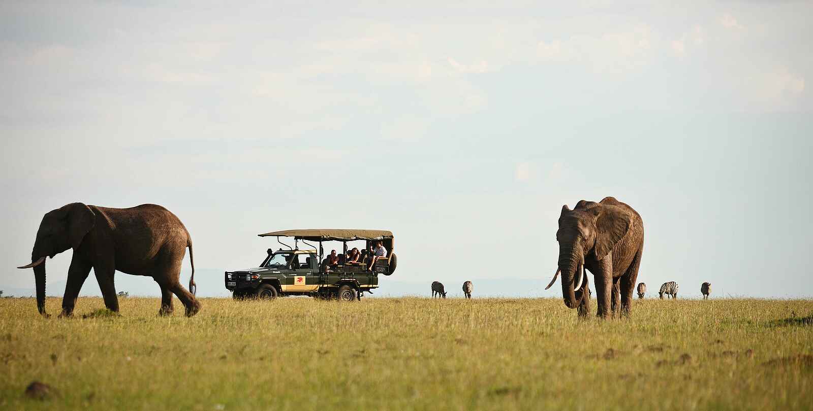 Elephant Pepper Camp: Pirschfahrt mit Elefanten Elephant Pepper Camp: Pirschfahrt mit Elefanten