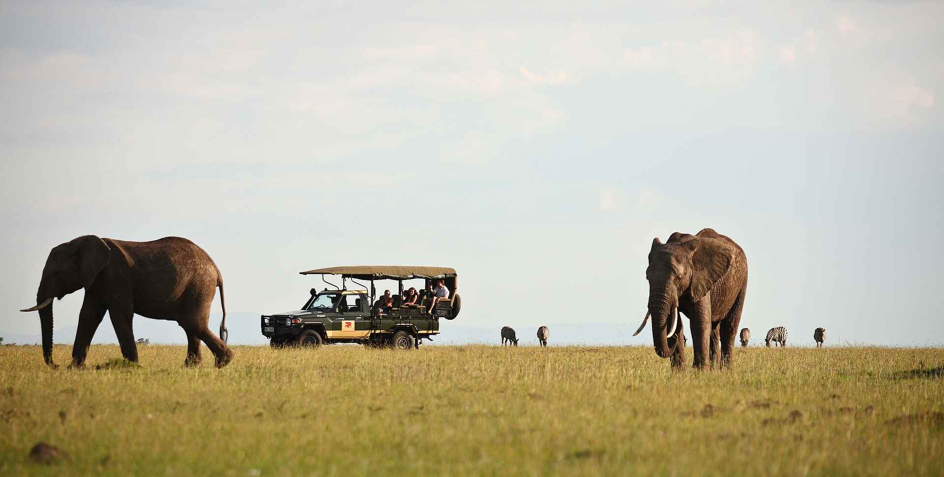 Elephant Pepper Camp: Pirschfahrt mit Elefanten