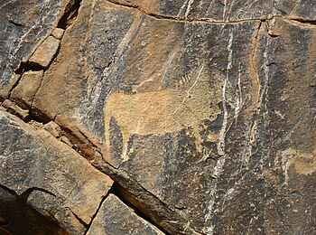 Fort Sesfontein: Ein Löwe graviert in den Felsen