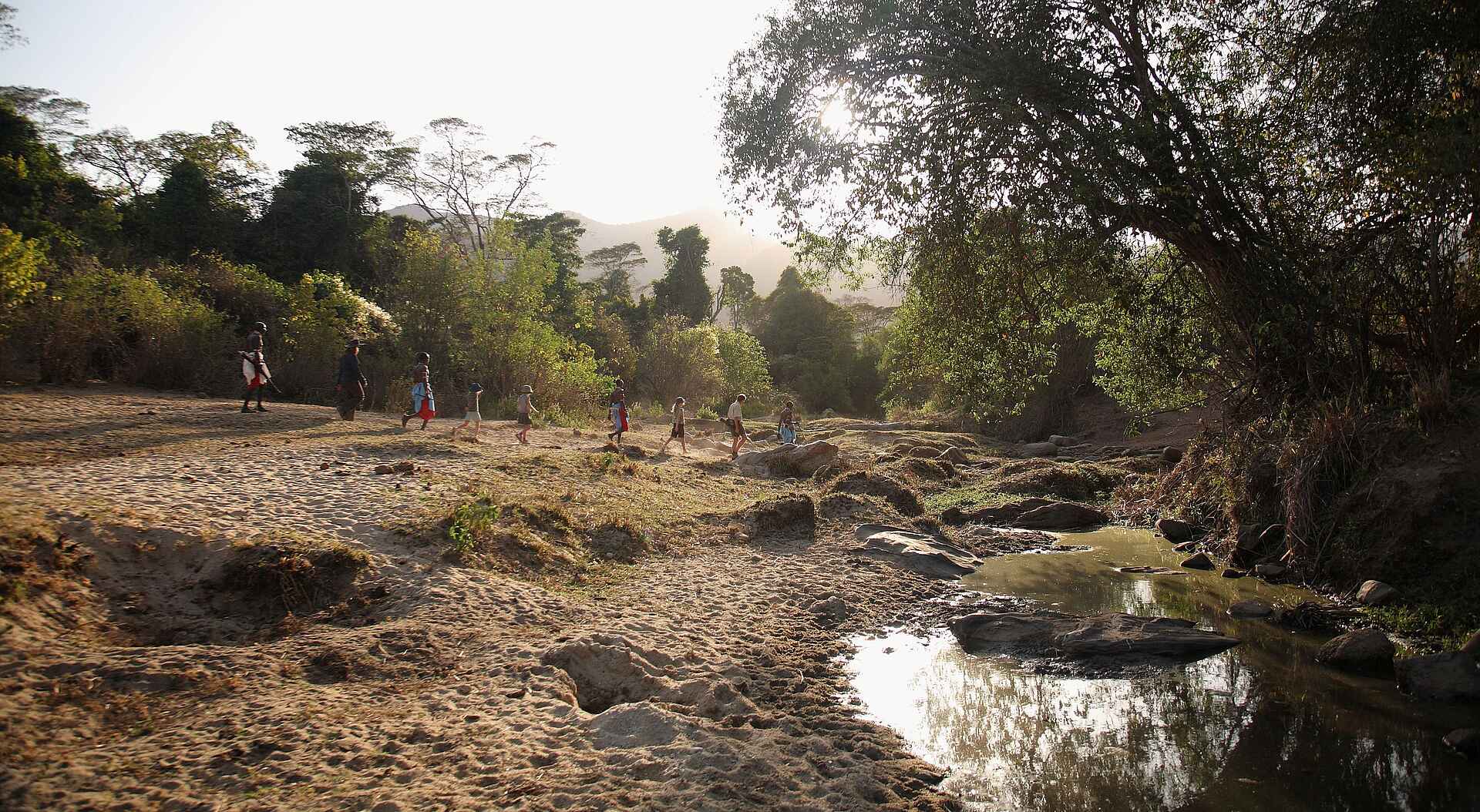 Kitich Camp: Waldwanderung mit der Familie