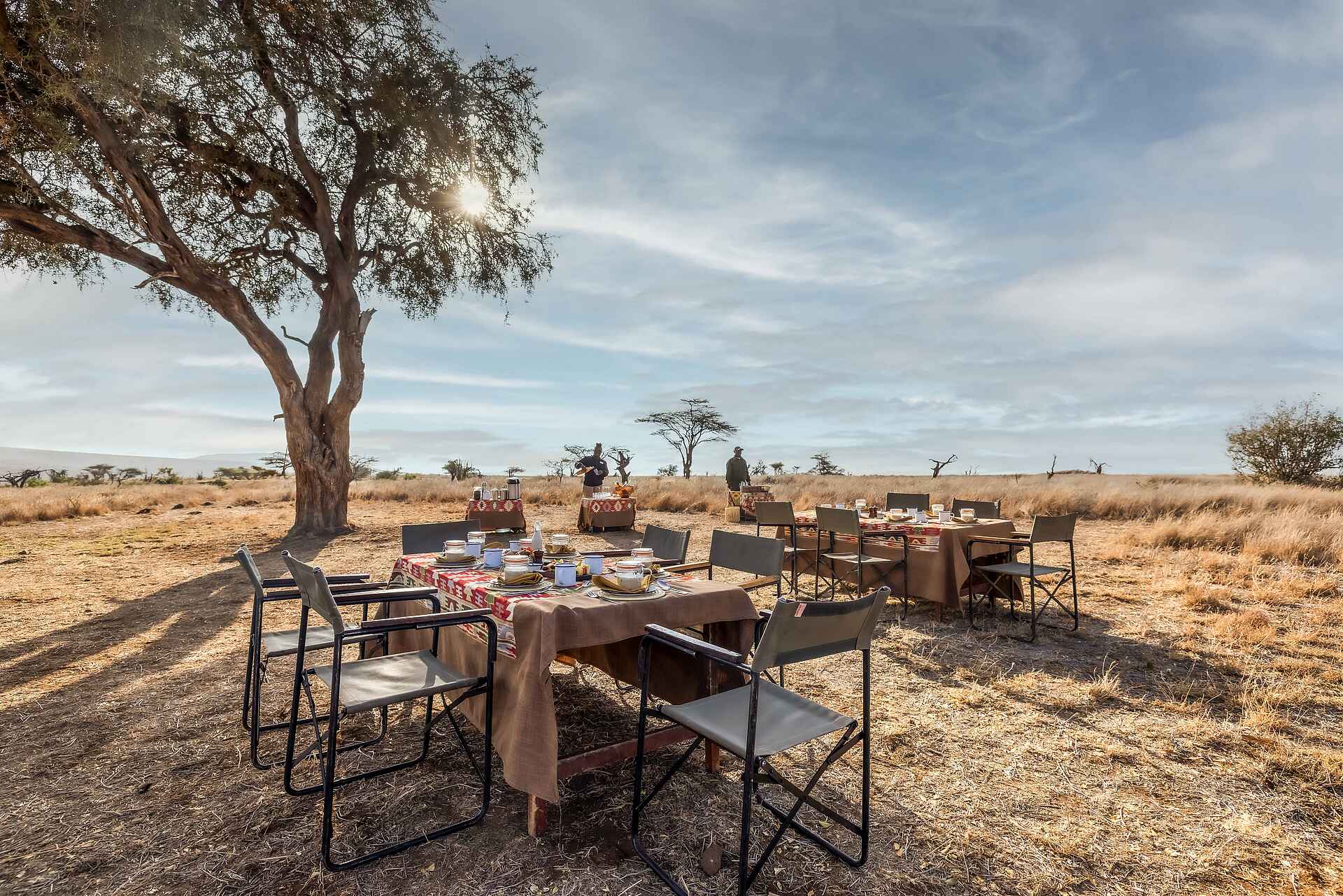 Lewa Safari Camp: Buschfrühstück Lewa Safari Camp: Buschfrühstück