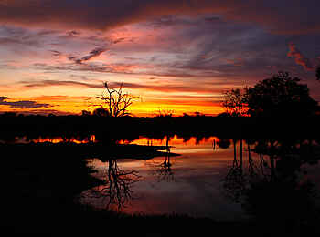 Motswari Game Lodge: Sonnenuntergang