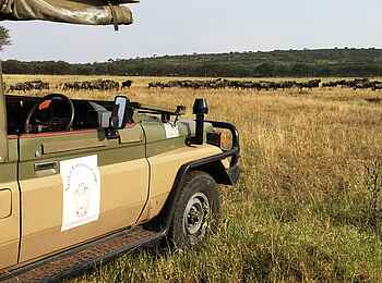 Naona Moru Camp: Gelaendewagen