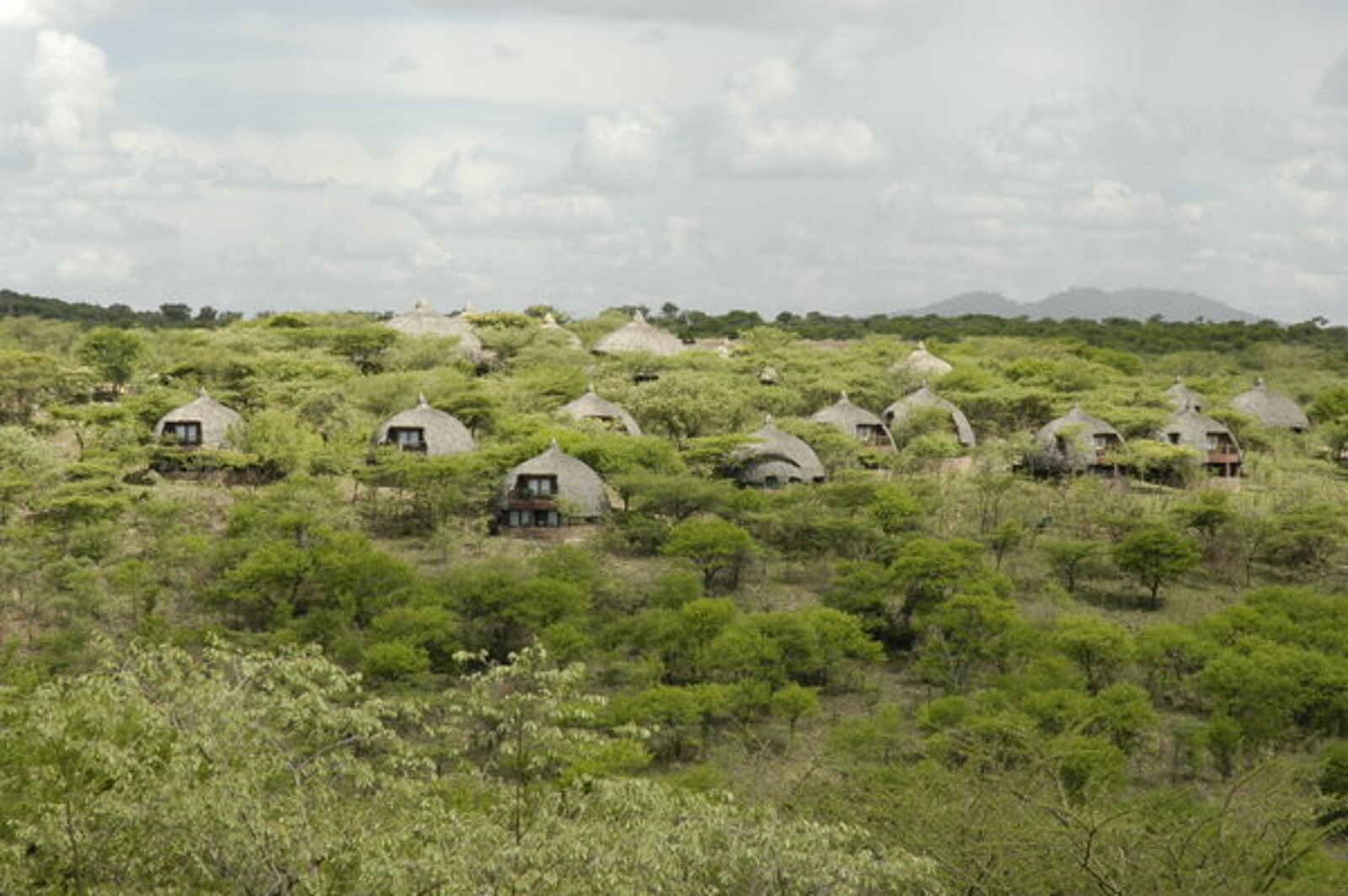 Serengeti Serena Safari Lodge: Rondavels am Hang Serengeti Serena Safari Lodge: Rondavels am Hang