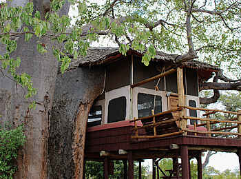 Tarangire Treetops: Baumhaus