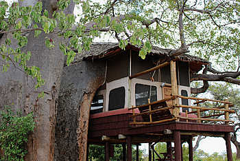 tarangire treetops einrichtungen zentrale afrikarma