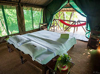 Masoala Forest Lodge: Ein Doppelbett im Zelt Masoala Forest Lodge: Ein Doppelbett im Zelt