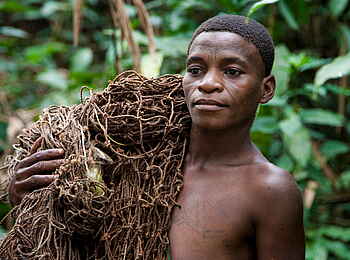 Sangha Lodge: Aufbruch der Baaka zur Netzjagd Sangha Lodge: Aufbruch der Baaka zur Netzjagd