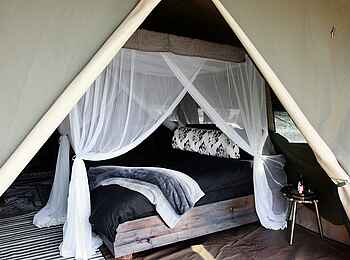 Shoebill Island Camp: Blick in ein Gästezelt