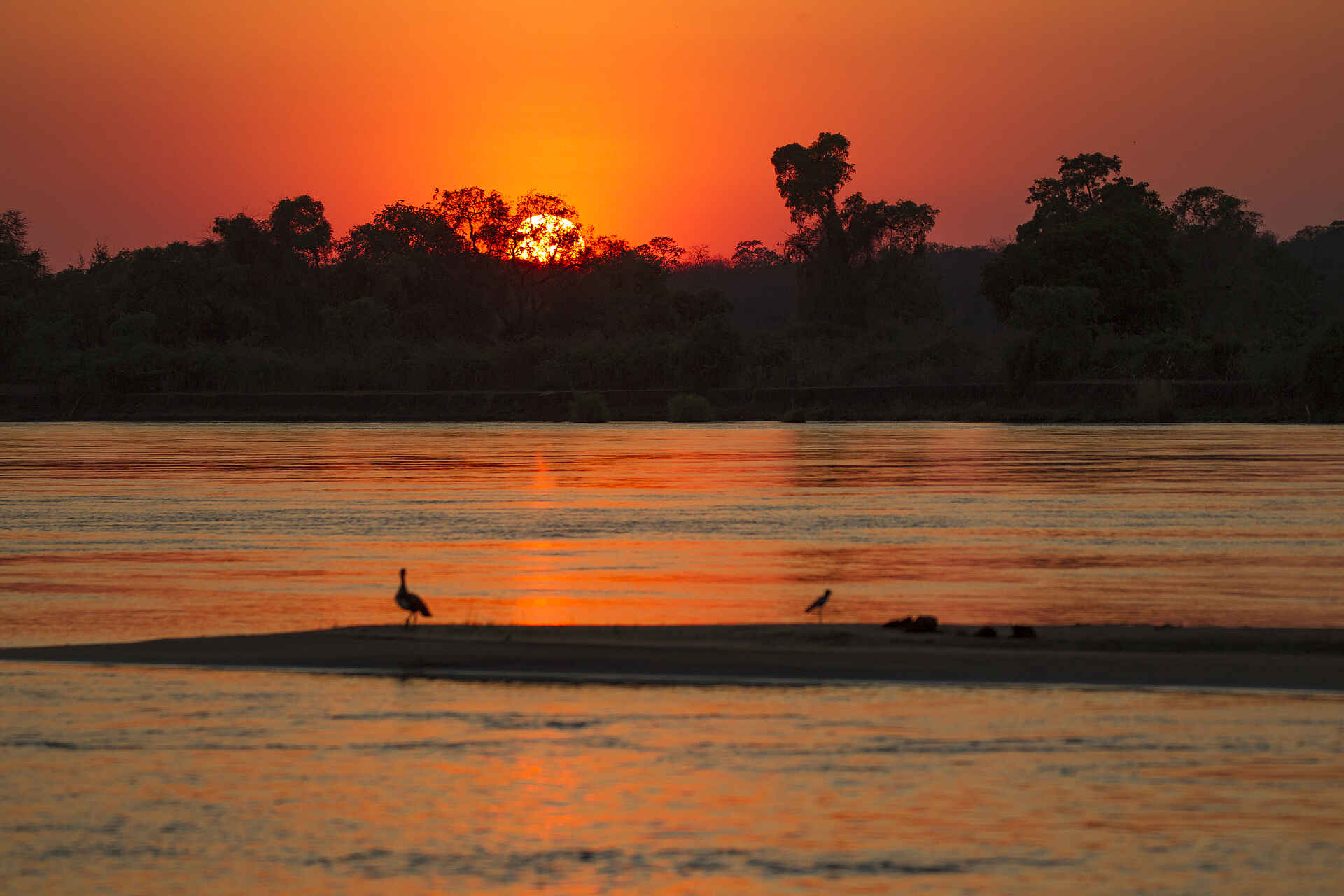 Pirschfahrt, Dawn, Lower Zambezi National Park, River, Sunrise, Zambezi, Zambia, Chula Island Flycamp, Dusk, Elephant, Sunset, Tusk & Mane, Game Drive, Tierbeobachtung, Tiere, Sambesi, Sonnenaufgang, Sonnenuntergang, Afrikarma, Afrikarma Safaris, Afrikarma Safaris. Wildnis. Hautnah., Afrikarma.de
