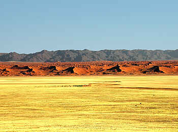 Desert Horse Inn: Prächtiges Farbenspiel Desert Horse Inn: Prächtiges Farbenspiel