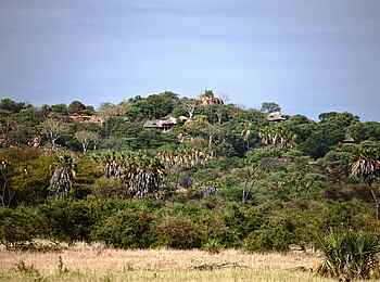 Elsa's Kopje: Ansicht aus der Ferne Elsa's Kopje: Ansicht aus der Ferne