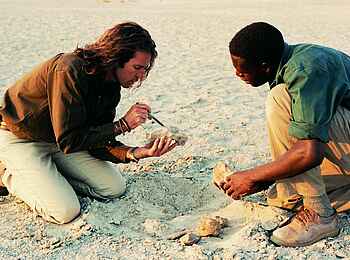 Jack's Camp: Suche nach Artefakten