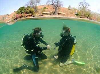 Kaya Mawa: Diving Buddies