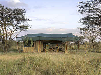 Kicheche Bush Camp: Gästezelt