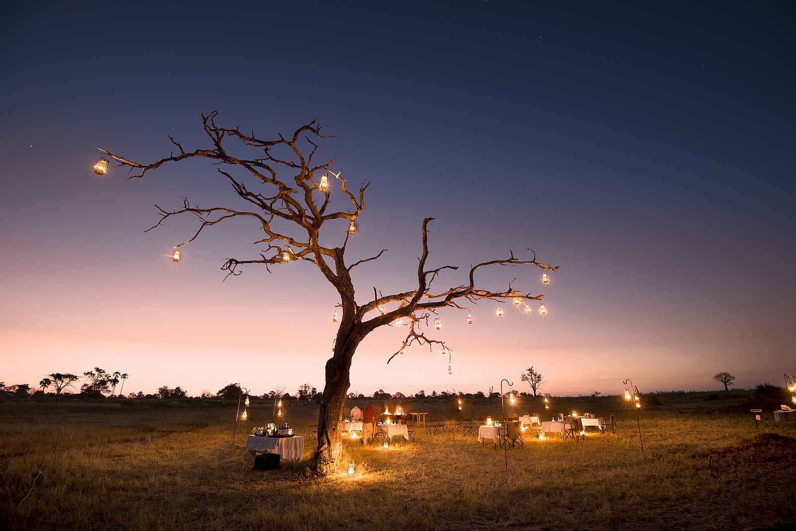 Nxabega Okavango Tented Camp: Dinner bei Sonnenuntergang Nxabega Okavango Tented Camp: Dinner bei Sonnenuntergang