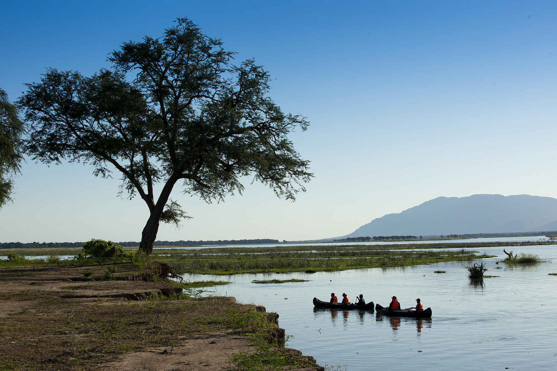 Nyamatusi Mahogany: Canoing