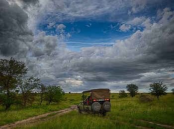 Sayari Camp: Pirschfahrt