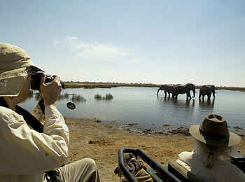 Selinda Explorers Camp: Game Drive