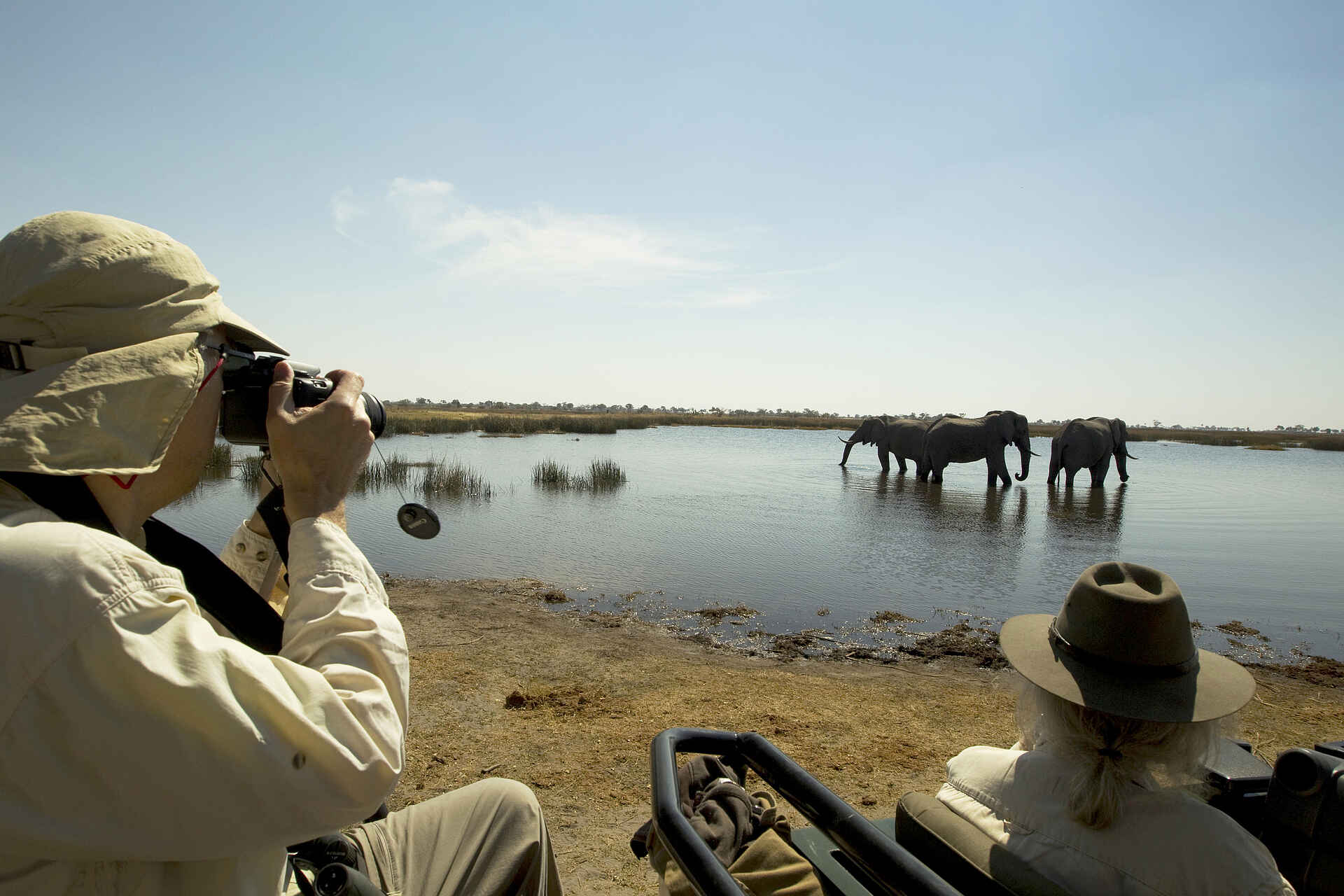 Selinda Explorers Camp: Game Drive