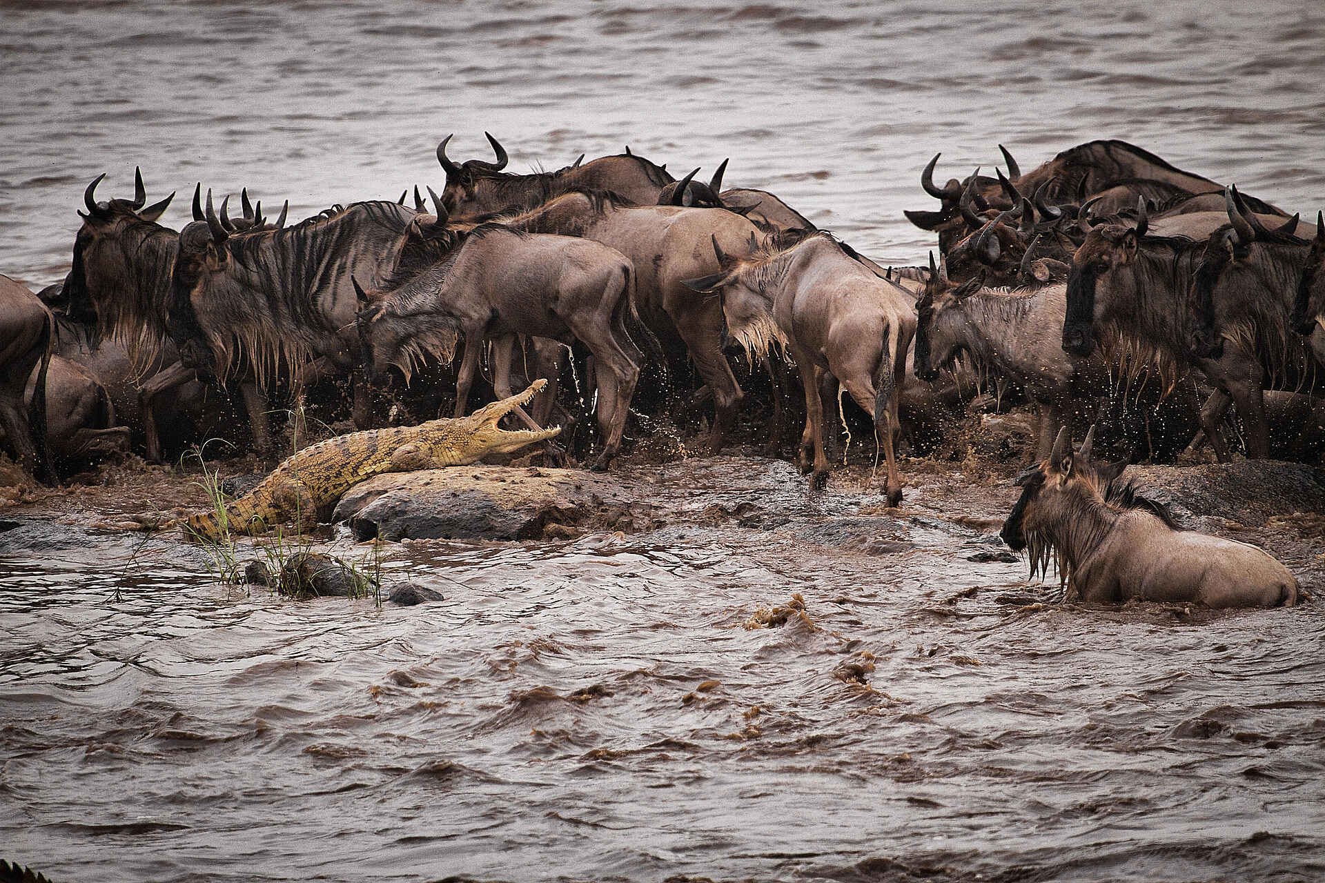 Serian's Serengeti South Camp: Gefährliche Flussquerung