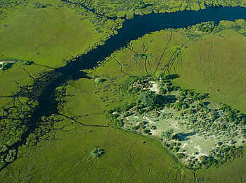 Bushman Plains Camp: Delta-Landschaft Bushman Plains Camp: Delta-Landschaft